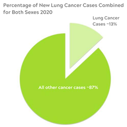 Percentage-of-New-Lung-Cancer-Cases-Combined-for-Both-Sexes-2020.png